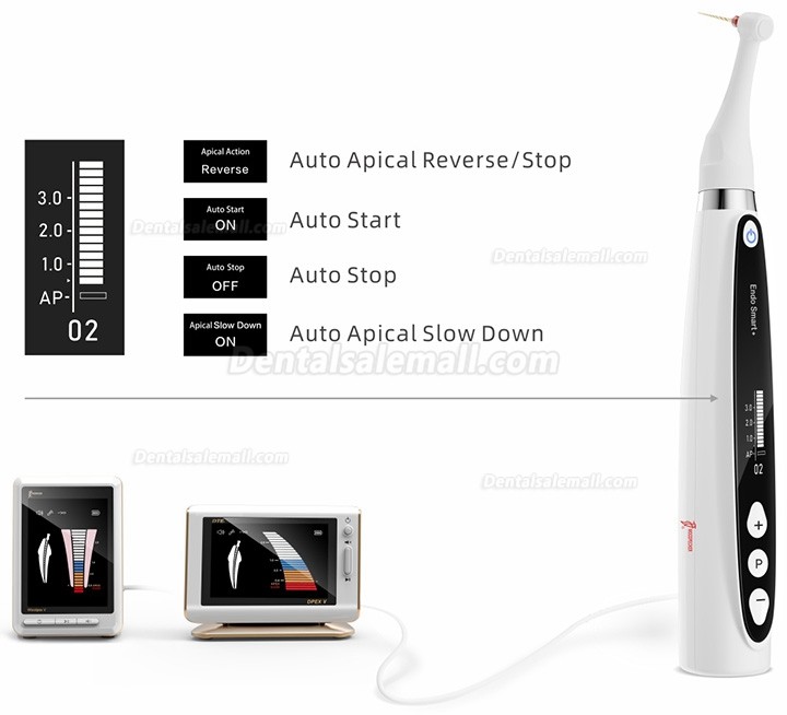 Woodpecker Endo Smart+ Dental Cordless Endodontic Motor with Reciprocating